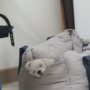 와르르 조개구이 영등점 | 여름 와르르💚