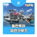 파란광고 | 괌 돌핀 투어 파란 크루즈 내돈내산 솔직후기 / 3대 가족 부모님 아기랑 여행