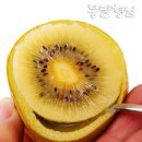 농업회사법인 세양(주)