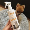 아이 러브 펫 이미지