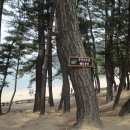 솔향기길1코스(당봉) 이미지