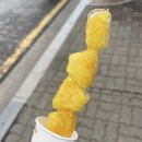 꼬알라파이 이미지