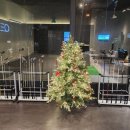 QED 골프 아카데미 이미지