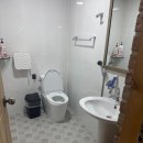 대천통나무소나무펜션 | 통나무마을 하늘정원펜션: 대천 펜션의 랜드마크! 오션뷰 대형 객실에서 단체 모임을 완벽하게!