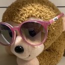 룩옵티컬 서서울호수공원점 이미지