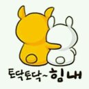 스마일동물병원 이미지