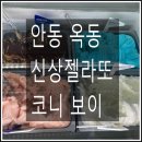 코니보이아이스크림