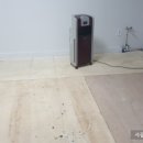 이지유치원 이미지