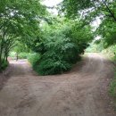 원평금수사석조아미타불및좌대 이미지