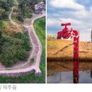 황새울4길 이미지