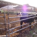 갈렙농장 이미지