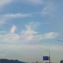 천안시국민여가캠핑장 | 13. [충남 천안] 천안시 국민여가캠핑장 #A25