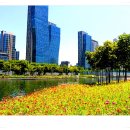 센트럴파크 이미지