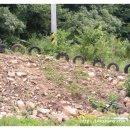 능애 낚시터 이미지