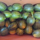 청송상회 이미지