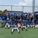 대동세무고가 결승에 진출했습니다. 이미지