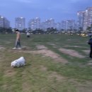 저녁아로마테라피DIY 이미지