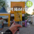 11500-7-42-03 | 2026 칠곡 꿀맥 페스티벌 참가 후기 &amp; 7월 칠곡 여행 맥주축제