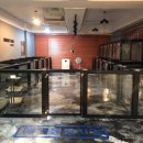 장 동물병원 이미지