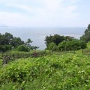 원전펜션 이미지