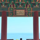 세븐일레븐 울진케이블카점 | 경상도 울진 왕피천 케이블카 벚꽃명소 숨겨진 벚꽃 포인트