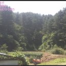 묵안1리 마을회관 이미지