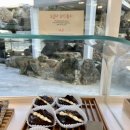 브루다 양주 이미지