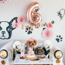 축하하개 이미지