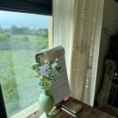 애월화룸 이미지