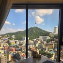 남산웰빙 | 남산뷰 가성비 호텔 ' 보코 호텔 명동(voco hotel)'