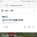 있으나 마나 동물보호법 이미지