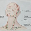 미(美)순환피부