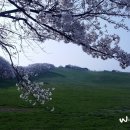 선들목장 네이버블로그