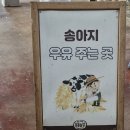 심원농장 | 전북 고창 여행코스 추천 | 상하농원 먹이주기 체험 후기 | 입장료 꿀팁 포함