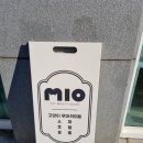 고양이 미용 미오 이미지