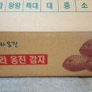 무지개빛농장 이미지