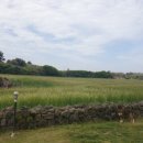 까사델마마223 이미지