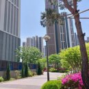 금빛수공인중개사사무소 이미지