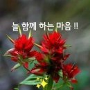 멋진하루 이미지