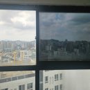 이기동권투체육관