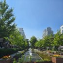 젊음의거리 분수대 이미지