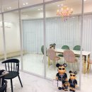 샵더이쁨