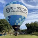 고양화전10 Daum카페