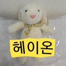 27200-다-11 | 대구 남구 대명동 왁싱샵 추천 헤이온 브라질리언 후기
