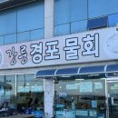 강릉경포물회 | [강원/강릉] 녹두전과 새콤달콤한 가자미물회가 유명한 ’강릉경포물회’