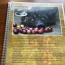 둥지농장 | 발리여행[5] 셋째날 우붓 리디아 투어 -2 [아카사 카페 / 사트리아 커피농장 / 티르타사원]