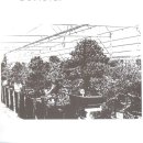 제2죽림농장 이미지