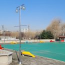 인라인스케이트장 옆 이미지