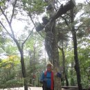 곰바위산장 이미지