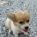 예림이네민박 이미지